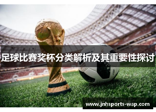足球比赛奖杯分类解析及其重要性探讨
