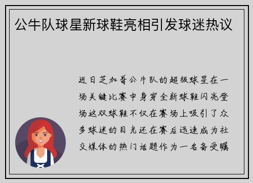 公牛队球星新球鞋亮相引发球迷热议