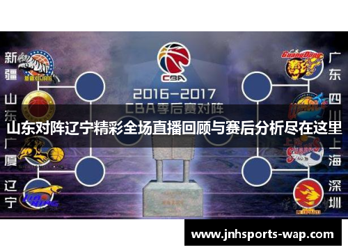 山东对阵辽宁精彩全场直播回顾与赛后分析尽在这里